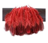 JUJING Lot de 100 plumes de faisan naturelles multicolores de 3 à 8 cm pour travaux manuels, décoration, bijoux, carnaval, petites prunes