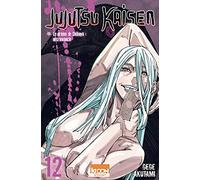Jujutsu Kaisen T12 (12)