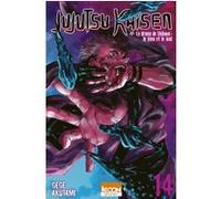 Jujutsu Kaisen T14 Gege Akutami (Auteur), Fédoua Lamodière (Traduction)