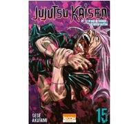 Jujutsu Kaisen T15 Gege Akutami (Auteur), Fédoua Lamodière (Traduction)