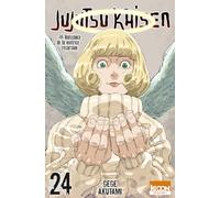 Jujutsu Kaisen T24