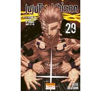 Jujutsu Kaisen T29 (29)