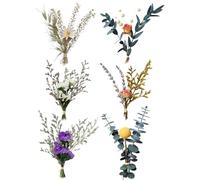 JUKOTA Bouquets de Fleurs séchées, Petites Fleurs séchées, Fleur séchées pour Bricolage pour Cadre Photo, Bricolage, fête à la Maison et décoration de Mariage(6PCS)