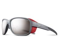 Julbo Montebianco 2 Spectron 4 Gris/argent TU