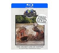 Jules Verne Adventures - The Secret Life Of Hippos : An Unexplored Underwater World - Import Pays-Bas (Bluray + Dvd)