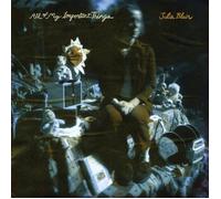 Julia Blair All of My Important Things (Vinyl) 12" Album