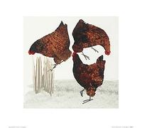 Julia Burns (Three Hens 40 x 40 cm Toile Imprimée