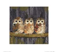 Julia Burns (Three Tawny Owls 40 x 40 cm Toile Imprimée