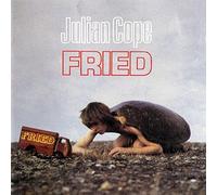 JULIAN COPE - FRIED 2 CD NEUF