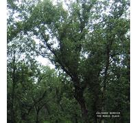 Julianna Barwick - The Magic Place (2024 Remastered)