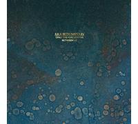Julie Beth Napolin - Only The Void Stands Between Us [VINYL]