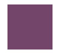 JULIEN PEINTURE RADIATEUR - 0.5 L - PRUNE SATIN