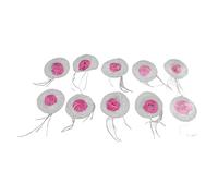 Julihai Manteau de Lampe de Lanterne à Gaz 30 Pièces, Portable, Durable, sans Rayonnement, Installation Facile, avec Fibre Artificielle, pour la Plupart des Lampes à Gaz, Lampes à Kérosène (ZH00124)