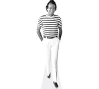 Julio Iglesias (Casual) Silhouette en carton Taille Mini