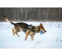 JULIUS K-9 18430-3 Boudin à mordre en coton/nylon avec couture extérieure et 2 anses, 30 x 3 cm