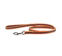 Julius-K9 216GM-OR-S2 Laisse antidérapante Color & Gray avec poignée, 20 mm x 2 m, Orange-Gris