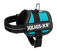 Julius K-9 216GM-OR-S3 Laisse antidérapante Color & Gray avec poignée, 20 mm x 3 m, Orange-Gris