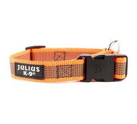 Julius K-9 Collier De Chien