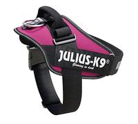 Julius K-9 Harnais IDC Power, Taille: 1, Rose Fuchsia