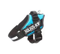 Julius K-9 Harnais IDC Power, Taille: 2, Bleu Aquamarine