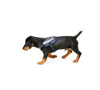 Julius K-9 Harnais IDC Power, Taille: Baby 1, Bleu