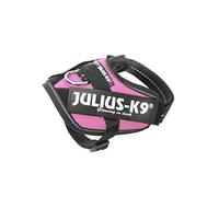 Rosa IDC Baby2 Julius K9