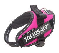 Julius K-9 Idc® Power Mini Dog Harness Rose Mini