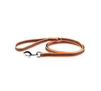Julius-K9 216GM-OR-1,8 Laisse antidérapante Color & Gray avec poignée and D-Ring, 20 mm x 1,8 m, Orange-Gris
