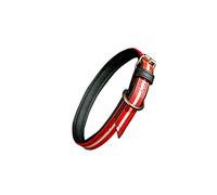 Julius-K9 Collier IDC Lumino phosphorescent, 25 mm x 70 cm, Rouge