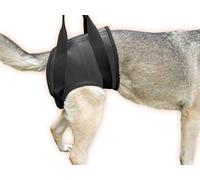 Julius-K9 Harnais de soutien à la marche pour chiens handicapés - Pour les hanches, Taille: XXL, Tour de hanches: 108-129 cm