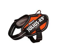 Julius-K9, Harnais IDC Powair, Taille: 2XS, Orange