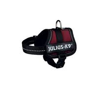 Julius-K9 - Harnais pour chiot - UTTX157
