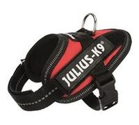 Julius K-9 Idc Baby Harness Rouge Baby-1