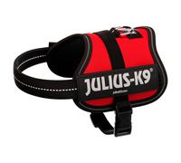 Julius-K9 Plats Electriques Rouge pour Chiens - Ergonomique, Réglable,