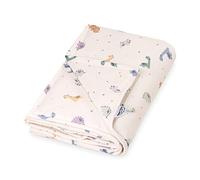 Julius Zöllner LittleDinos Couverture doublée en Jersey de Coton | Taille 70 x 100 cm | Fabriqué en Allemagne | Certifié Oeko-Tex Standard 100