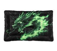 JUMBEAR Lit pour animal de compagnie motif dragon vert flamme, matelas de cage pour chien et chat, matelas doux et confortable pour chats et chiens qui dorment 61 x 45,7 cm