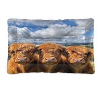 JUMBEAR Lit pour animal domestique avec trois jolies vaches des Highlands - Fond antidérapant - Tapis doux et confortable pour chats et chiens - 91,4 x 61 cm