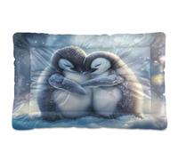 JUMBEAR Lot de 2 lits mignons pour animaux de compagnie, matelas de cage pour chien et chat, avec fond antidérapant, doux et confortable, pour chats et chiens, 61 x 45,7 cm