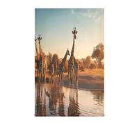 JUMBEAR Torchon de Cuisine Doux et Absorbant réutilisable Motif Girafe Africaine 71,1 x 45,7 cm
