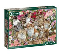 Jumbo 1000 Falcon - Floral Cats