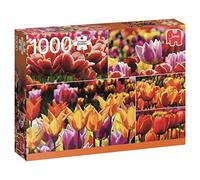 PC 1000 pièces de puzzle tulipes Hollande