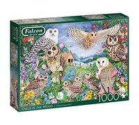 Jumbo, Falcon de Luxe - Puzzle hiboux dans Le Bois pour Adultes, 1000 pièces