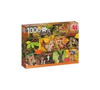 Autumn Animals