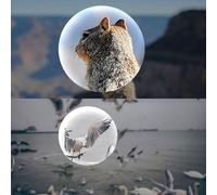 Jumelles Mini Compactes Légères 8x21 pour Concerts, Opéra, Sports, Jeux Extérieurs, Randonnées, Voyages, Observation des Oiseaux