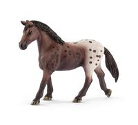 Jument Appaloosa