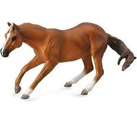Jument Collecta Quarter, Sorrel 004-88585