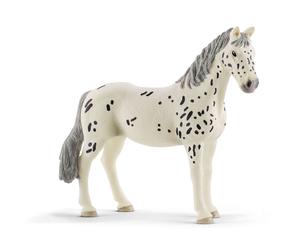 Jument Knabstrupper (13910P)