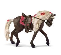 Jument Rocky Mountain Horse Spectacle équestre