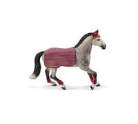 Jument Trakehnen concours équestre