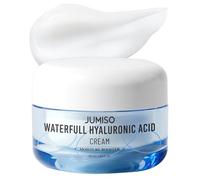 [Jumiso] Crème hyaluronique Waterfull 50 ml